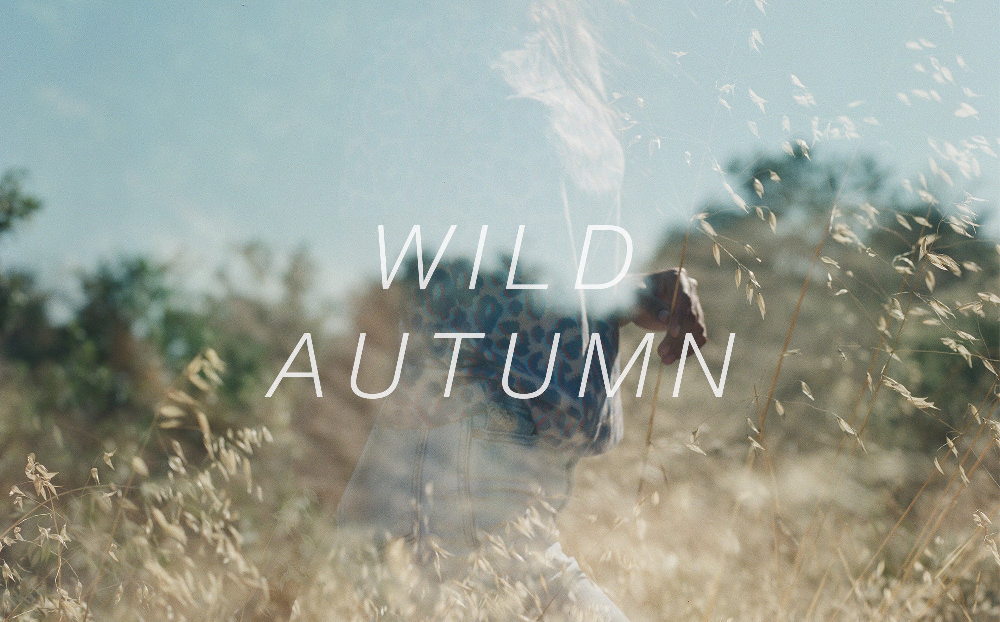 WILD AUTUMN : FALL 19 LOOKBOOK